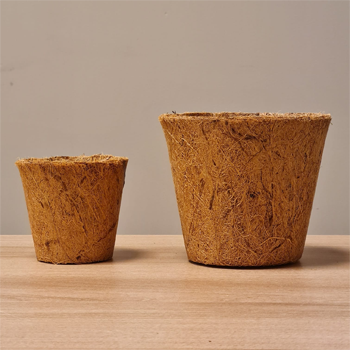 Coconut Husk Pots